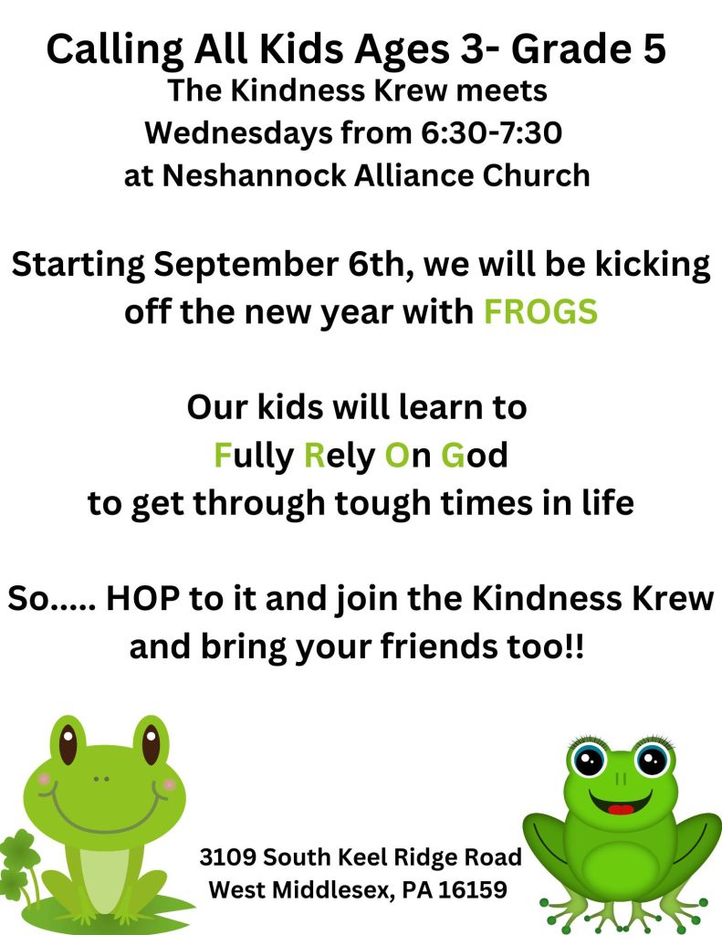 Kids FROG slide